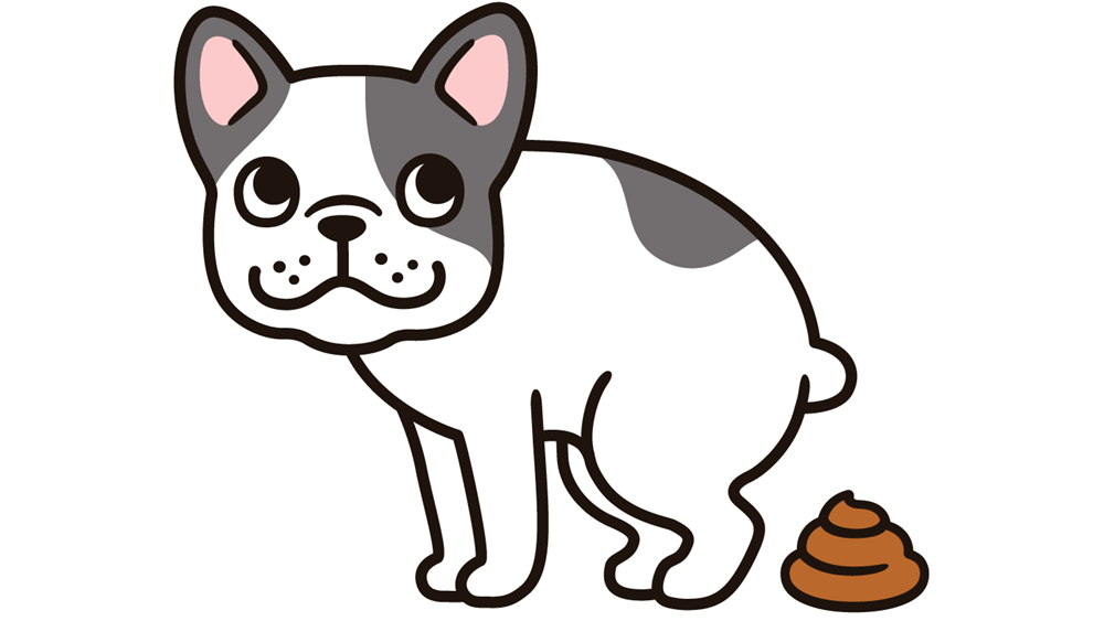 まいにちの”便”の健康を考える