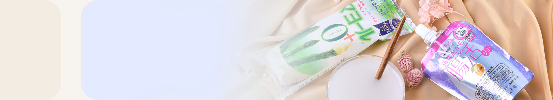 プロジェクト概要