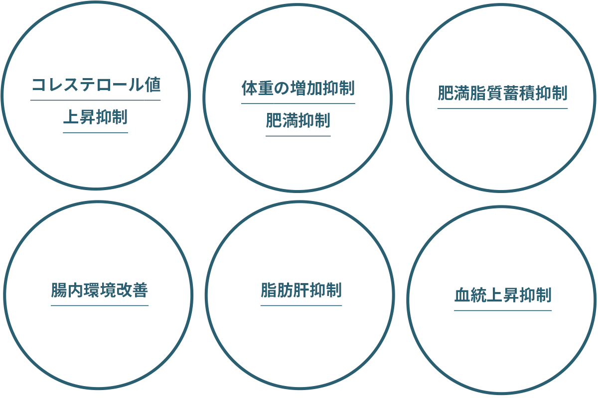 水溶性液状こんにゃく「ナノコン」の体内効能について